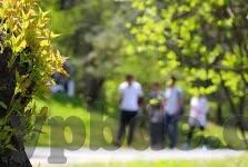 91麻豆制服丝袜在线-悬疑与美感，探讨91麻豆制服丝袜在线的独特魅力