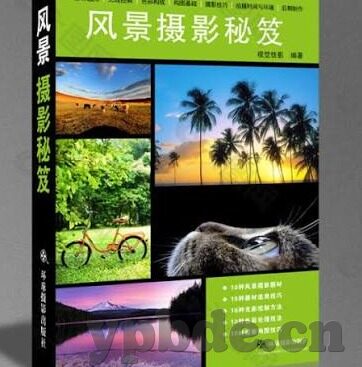 日韩av网站在线观看-日韩AV网站在线观看，文化、法律与个人选择的边界